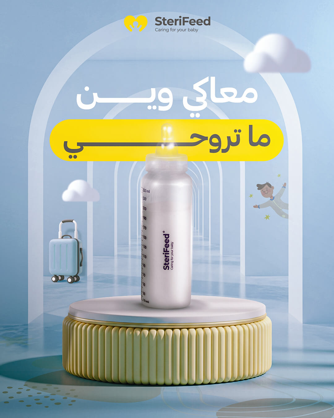 Sterifeed Full Social Media Management